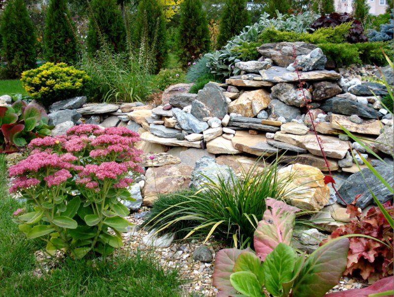 Stones and flowers on an alpine hill