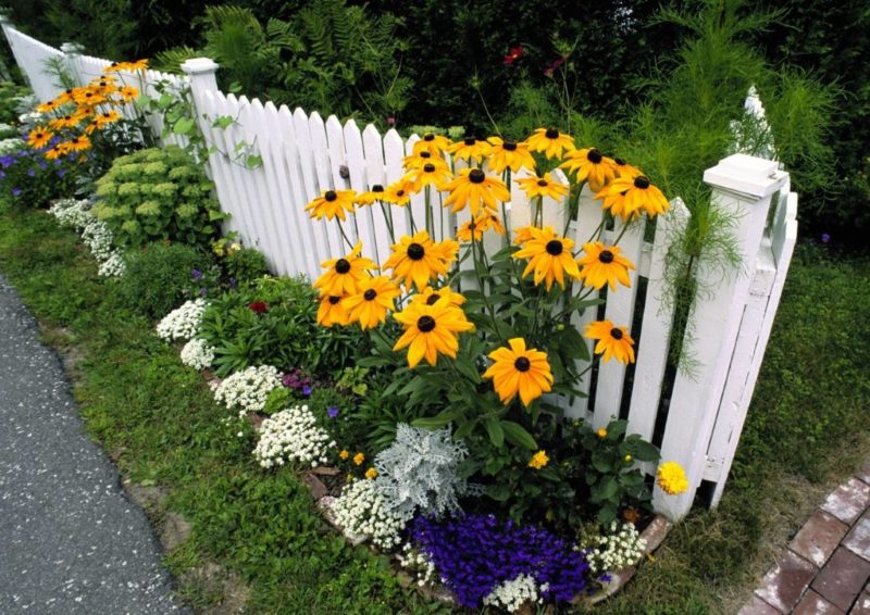 White wooden fence in the front area of ​​the site