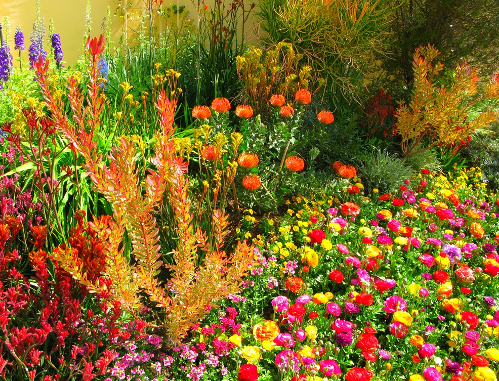 Brightly blooming mixborder in the countryside