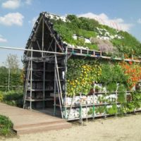 Growing flowers in the wall and on the roof of a garden shed