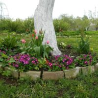 Decorating a tree trunk with flowers