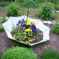 Garden flowerbed from an old umbrella