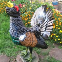 Decorative grouse in the garden