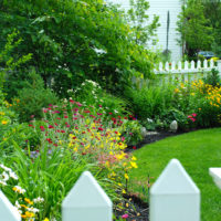 Decoration of a wooden fence with flowering plants