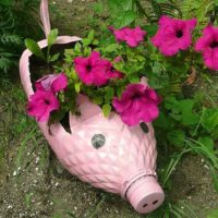 Original flower pot from a plastic bottle