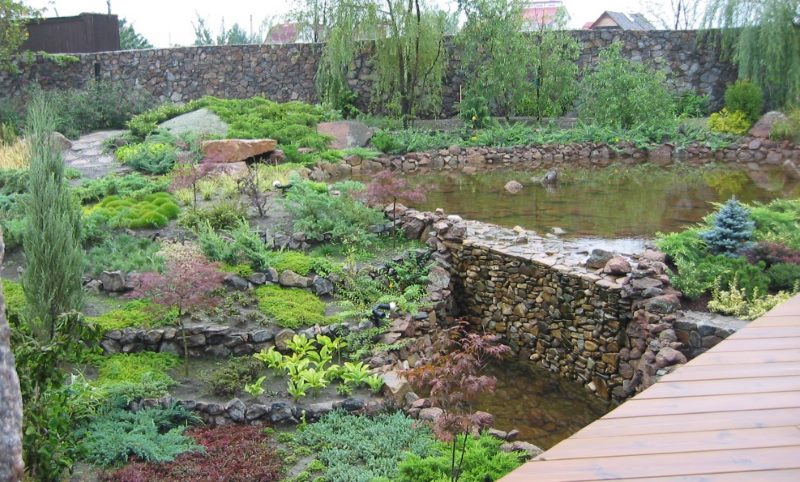 Wild slope in landscaping of a garden plot