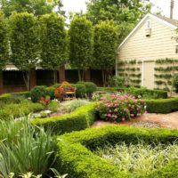 Shrubbery shrubs in a small garden design