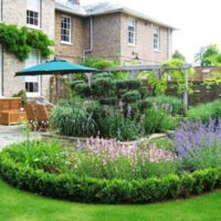 Flowerbed with lilac flowers on a country lawn