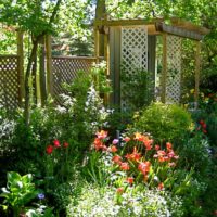 Pergola and a wooden fence on a small plot