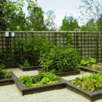 Wooden beds in the design of the garden