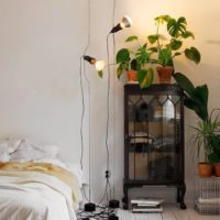 Illumination of indoor flowers with spotlights on racks