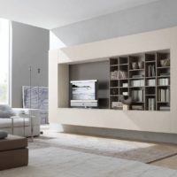 Bookshelves and tv on the wall in the living room