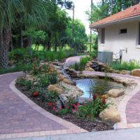 Garden paths around a small pond