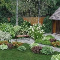 Bench area next to flowering hydrangea