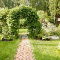 A garden arch entwined with loops over a pavement path