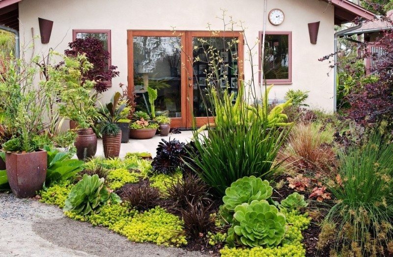 Flowerbed with decorative perennials and flowers in front of a country house