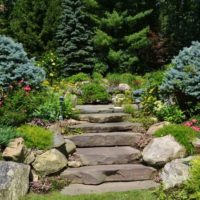 Limestone garden ladder between conifers