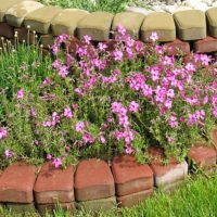 Simple flower bed made of concrete tile