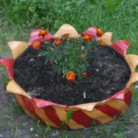 Marigolds in a car tire bed