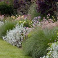 Mixborder with grassy perennials