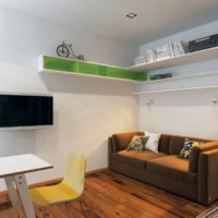 Shelves over a sofa in a studio apartment