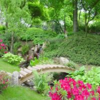 Wooden bridge over the garden creek