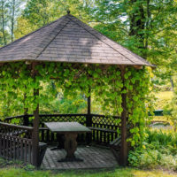 Climbing plants in the design of a garden gazebo