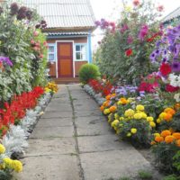 Flowerbeds على طول حواف مسار الحديقة