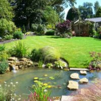 Stones in a pond instead of a bridge