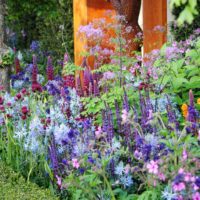 Flowering mixborder in garden design