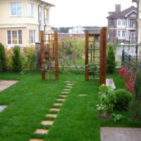 Lawn in a small garden