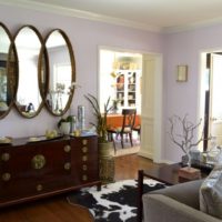 Mirrors and chest of drawers in the interior of the living room