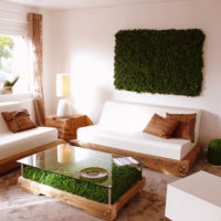 Green moss in a modern living room