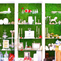 Built-in shelves with moss on the rear wall in the interior of the room