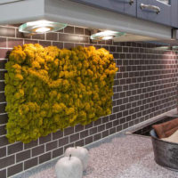 Moss panel on a kitchen apron