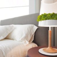 Moss bedside lamp decor