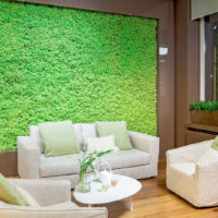 Phytostall from stabilized moss in the design of the living room