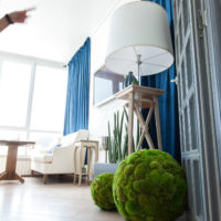 Decorative moss poufs on the room floor