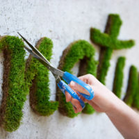 Moss menstabilkan grafiti