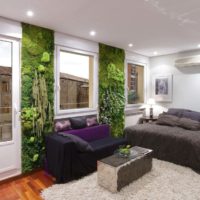 Living moss in a bedroom interior