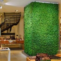 A moss column in the center of the living room of a private house