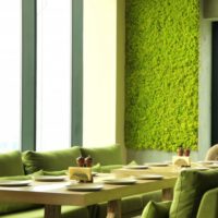 Bright green moss on the kitchen wall