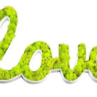 Living Moss Wall Decal