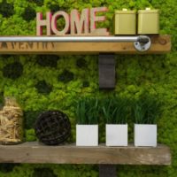 Kitchen shelves on the wall of moss