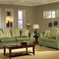 Living room decor in olive tones