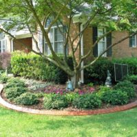 Making a trunk circle with a flower bed