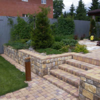 Conifers on a retaining wall site