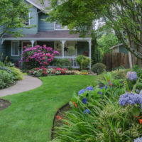 Classic lawn in the design of the garden