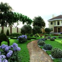 Compositions of plants along the garden path