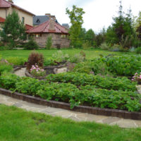 Vegetable garden in the landscape of a summer cottage